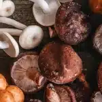 58 3202611223951632939833